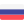 RUSSIAN flag